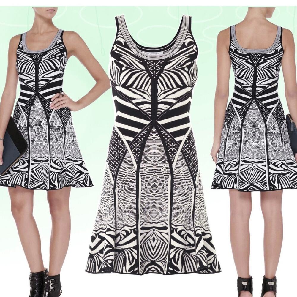 DIANE von‎ FURSTENBERG Fanny Structured Knit Flared Dress Zebra Small NWT $498